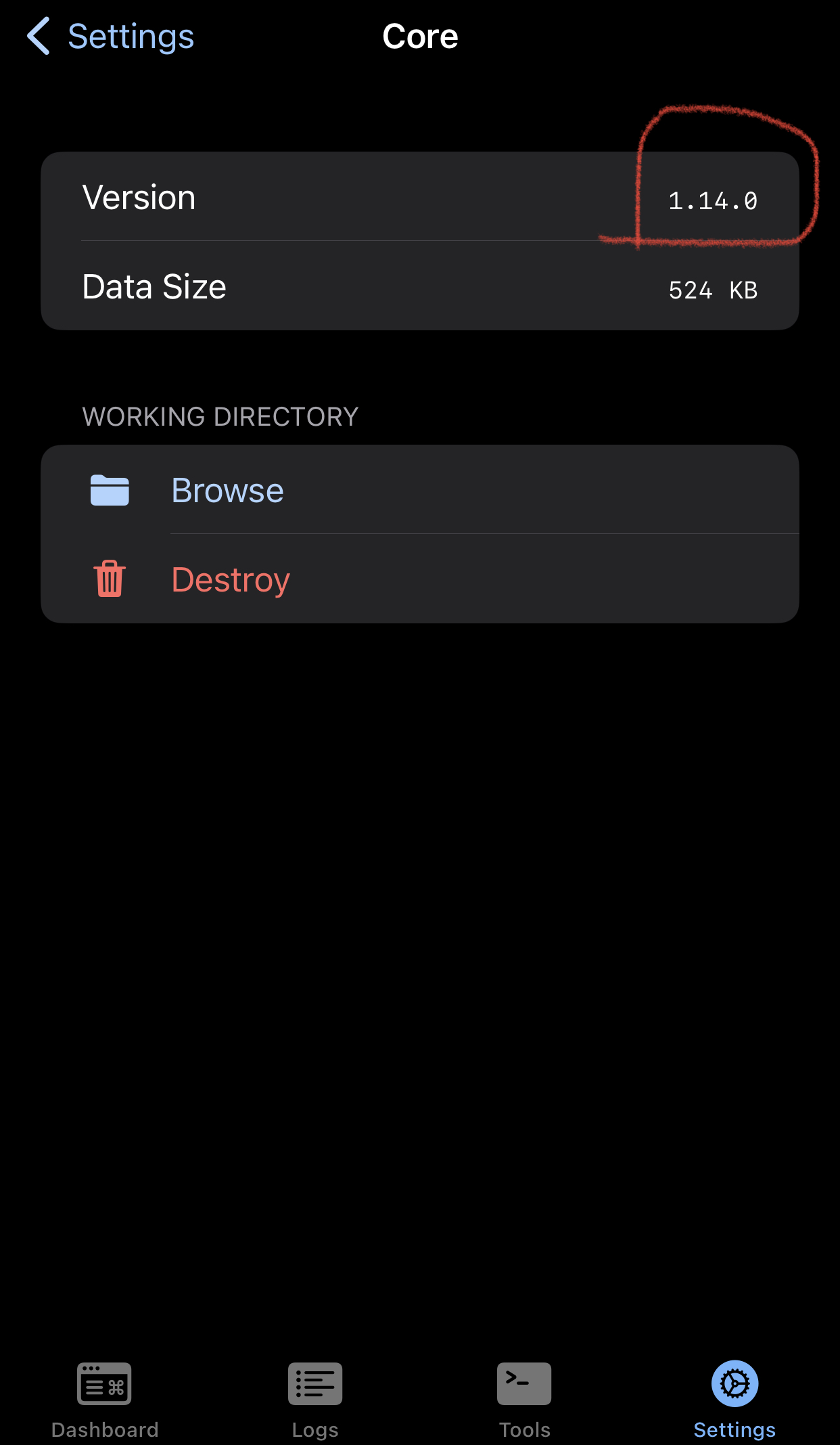 iOS sing-box Settings → Core showing core version 1.14.0