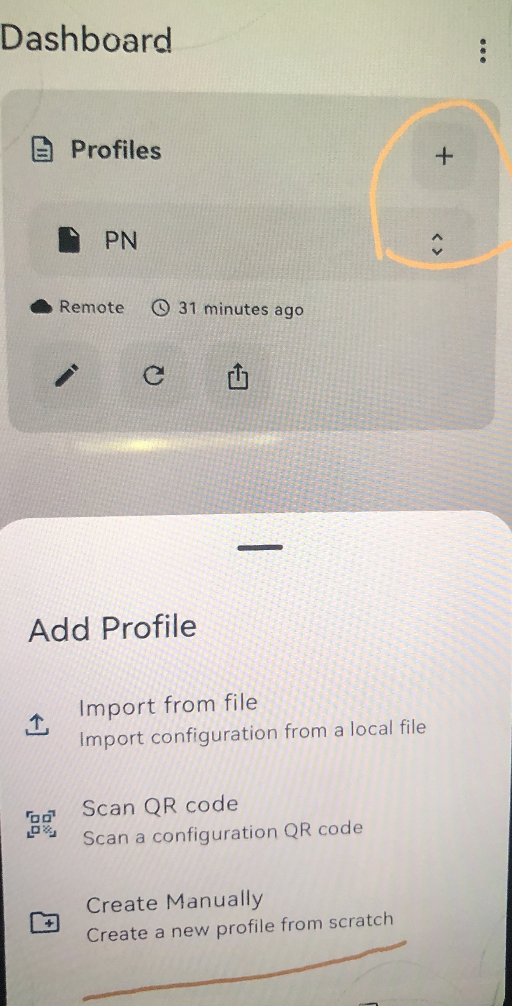 sing-box Profiles section with the + button and the Add Profile sheet showing Create Manually